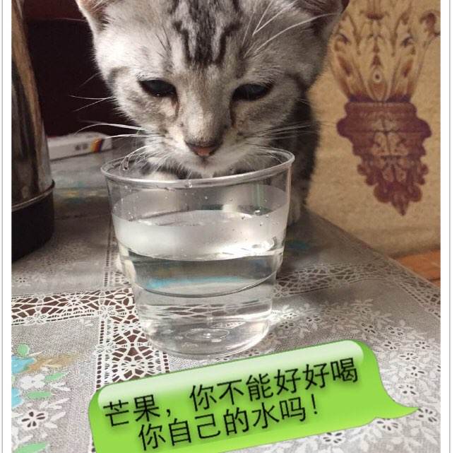 本科毕业没有学位证对找工作影响大吗